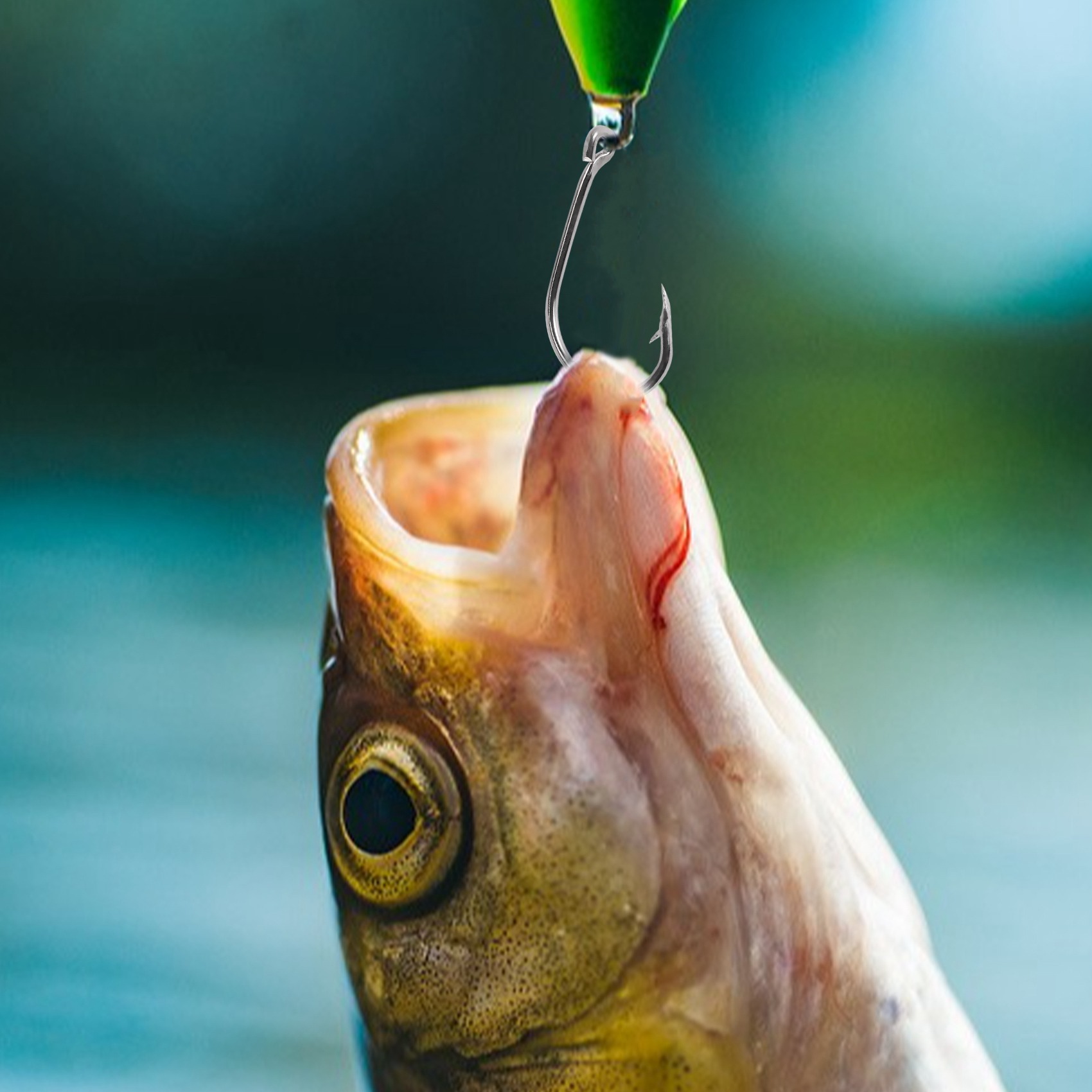 New arrival  500Pcs/Set Mixed  - Fishing Hook Box recension och pris